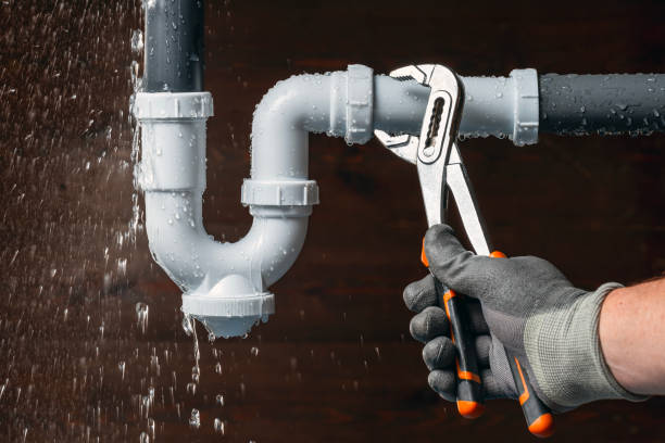 Professional Emergency Plumber technician working in Gaines, MI